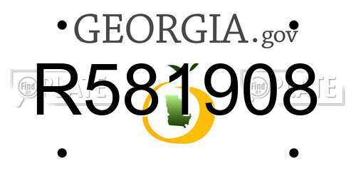 R581908 Georgia License Plate
