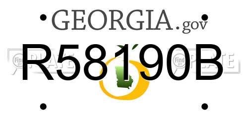 R58190B Georgia License Plate