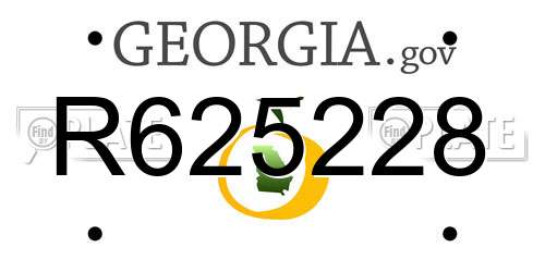 R625228 Georgia License Plate