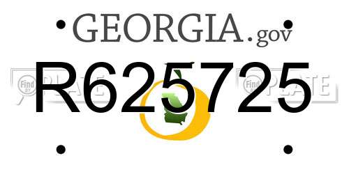 R625725 Georgia License Plate