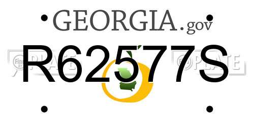 R62577S Georgia License Plate