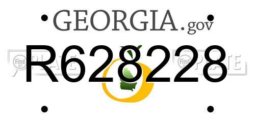 R628228 Georgia License Plate