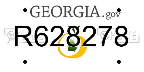 R628278 Georgia License Plate