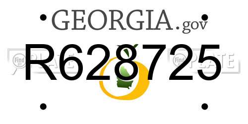 R628725 Georgia License Plate