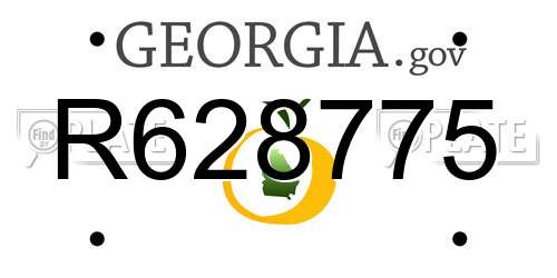 R628775 Georgia License Plate