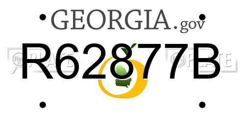 R62877B Georgia License Plate