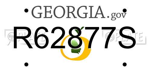R62877S Georgia License Plate