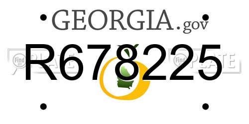 R678225 Georgia License Plate