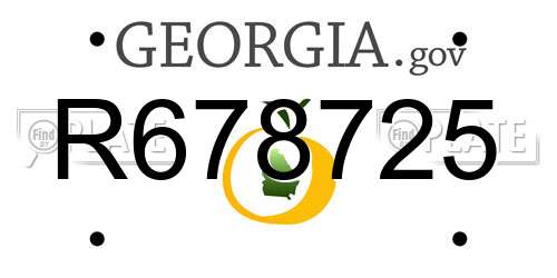 R678725 Georgia License Plate