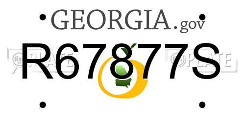 R67877S Georgia License Plate