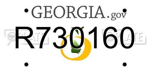 R730160 Georgia License Plate