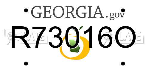 R73016O Georgia License Plate
