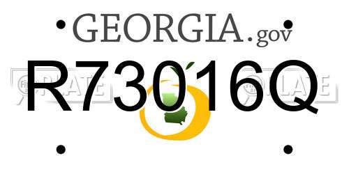 R73016Q Georgia License Plate
