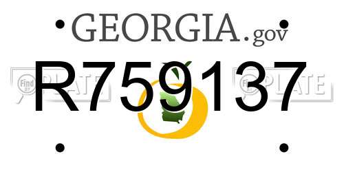 R759137 Georgia License Plate