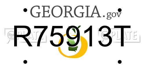 R75913T Georgia License Plate