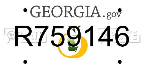 R759146 Georgia License Plate