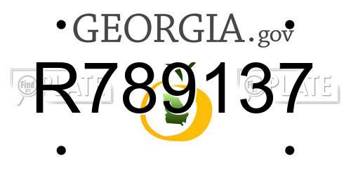 R789137 Georgia License Plate