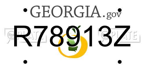 R78913Z Georgia License Plate