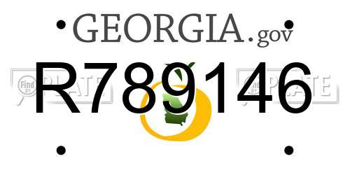 R789146 Georgia License Plate