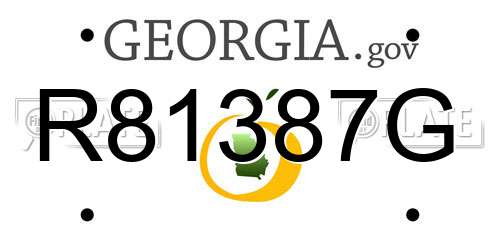 R81387G Georgia License Plate