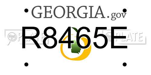 R8465E Georgia License Plate
