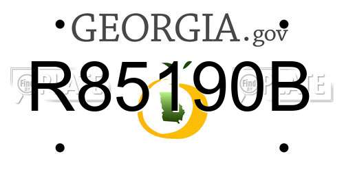 R85190B Georgia License Plate