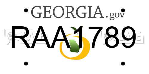 RAA1789 Georgia License Plate