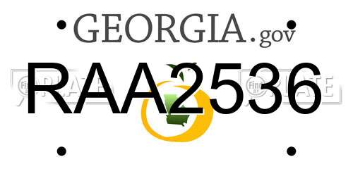 RAA2536 Georgia License Plate