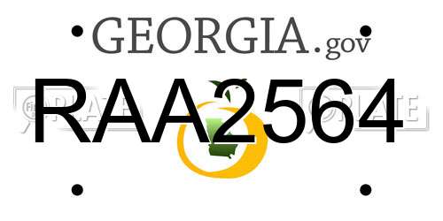 RAA2564 Georgia License Plate