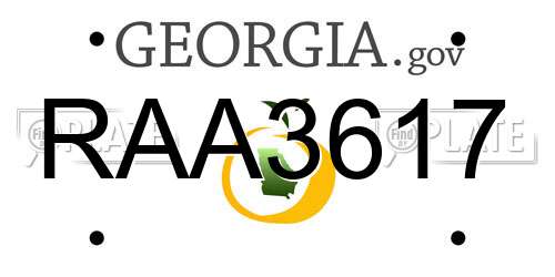 RAA3617 Georgia License Plate