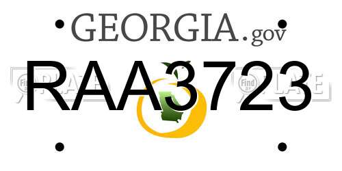 RAA3723 Georgia License Plate