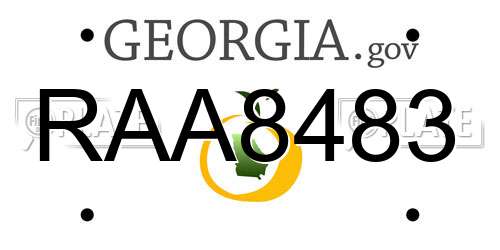 RAA8483 Georgia License Plate