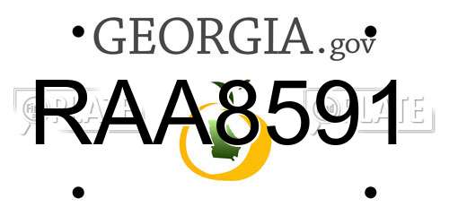 RAA8591 Georgia License Plate