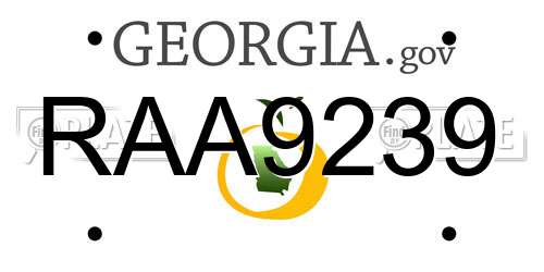 RAA9239 Georgia License Plate