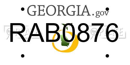 RAB0876 Georgia License Plate