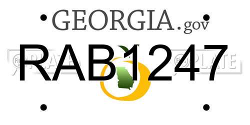 RAB1247 Georgia License Plate