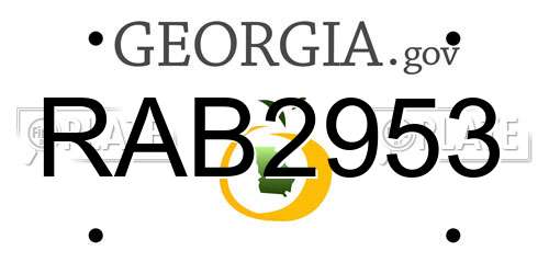 RAB2953 Georgia License Plate