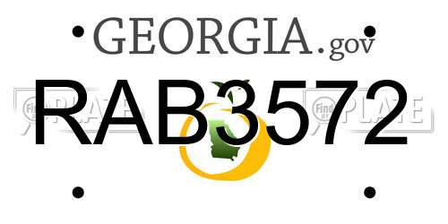 RAB3572 Georgia License Plate