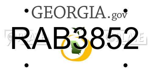 RAB3852 Georgia License Plate