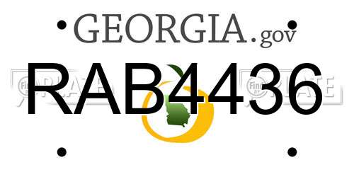 RAB4436 Georgia License Plate