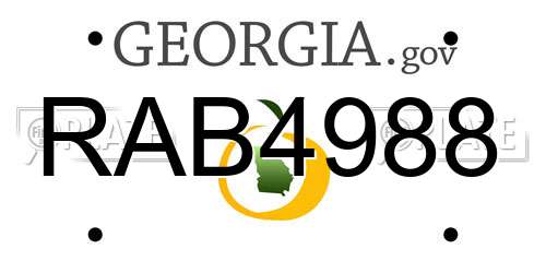 RAB4988 Georgia License Plate