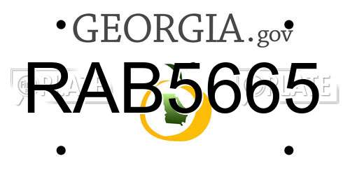 RAB5665 Georgia License Plate