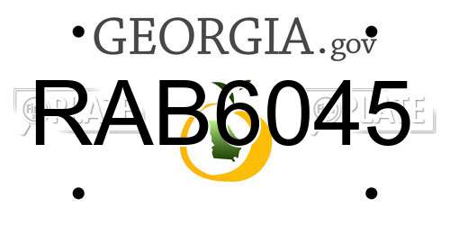 RAB6045 Georgia License Plate
