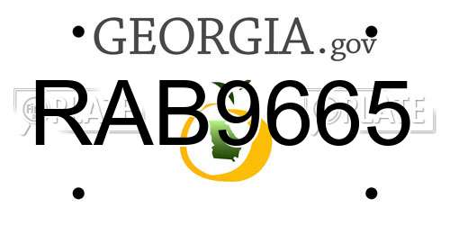 RAB9665 Georgia License Plate