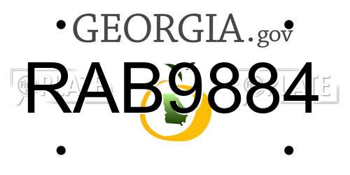 RAB9884 Georgia License Plate