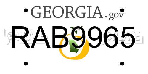 RAB9965 Georgia License Plate