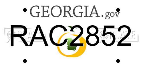 RAC2852 Georgia License Plate