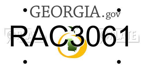 RAC3061 Georgia License Plate