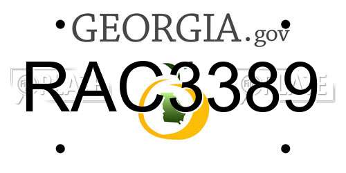RAC3389 Georgia License Plate