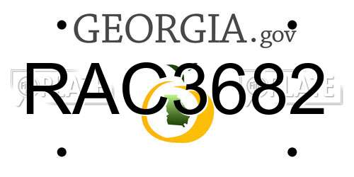 RAC3682 Georgia License Plate